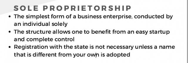Delaware sole proprietorship