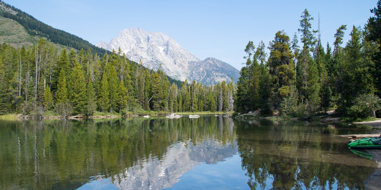 https://www.tetraconsultants.com/wp-content/uploads/2022/01/pexels-siegfried-poepperl-7928029-1280x640.jpg