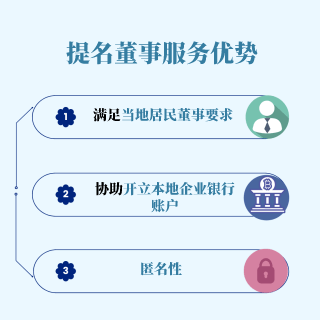 提名董事优势
