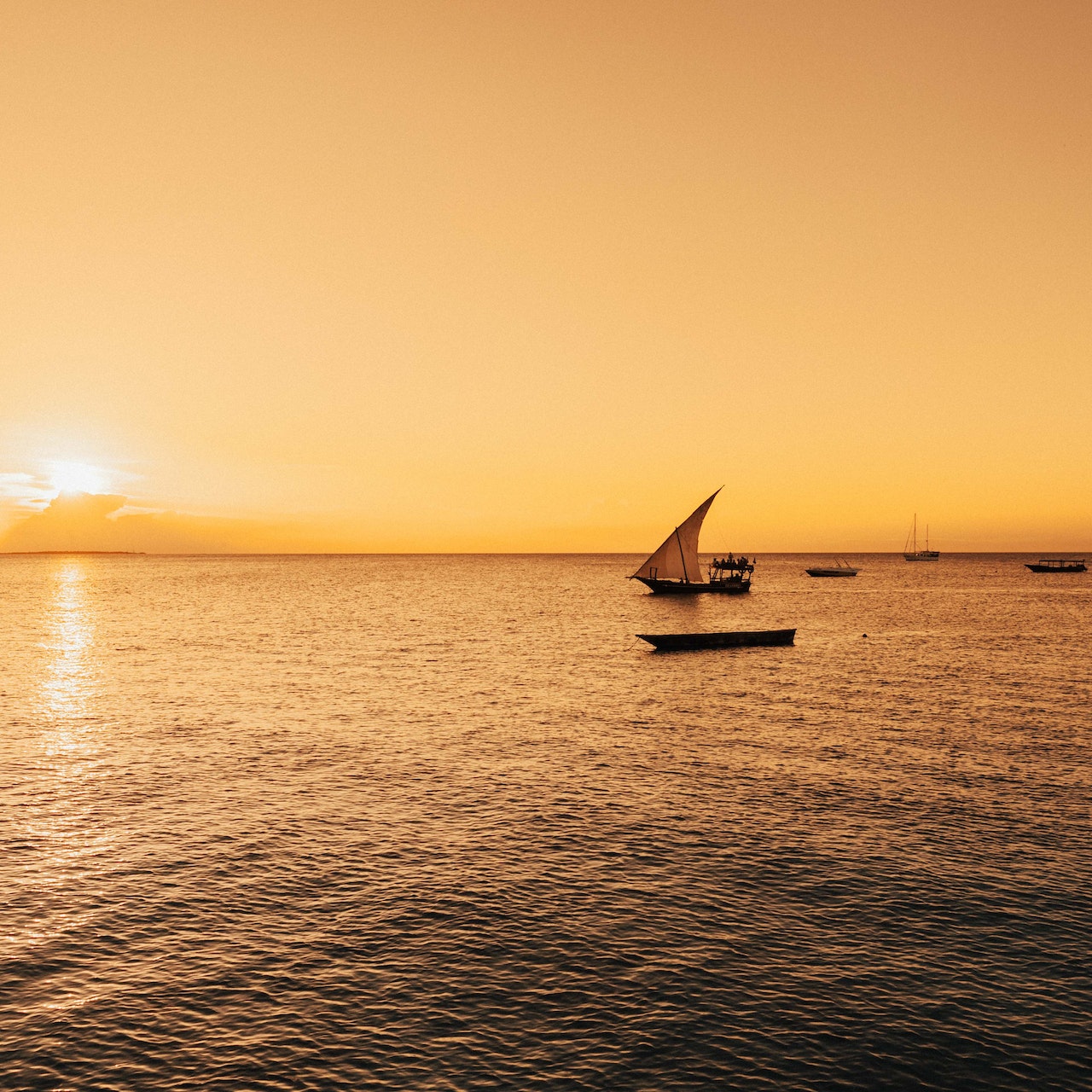How To Proceed With Business Registration Process in Tanzania