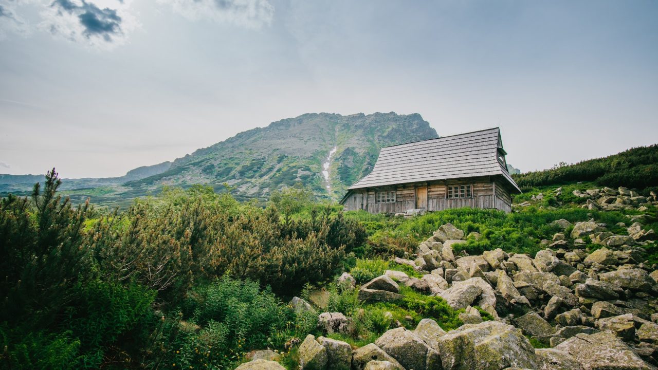 https://www.tetraconsultants.com/wp-content/uploads/2023/08/pexels-josh-hild-2692254-1280x720.jpg