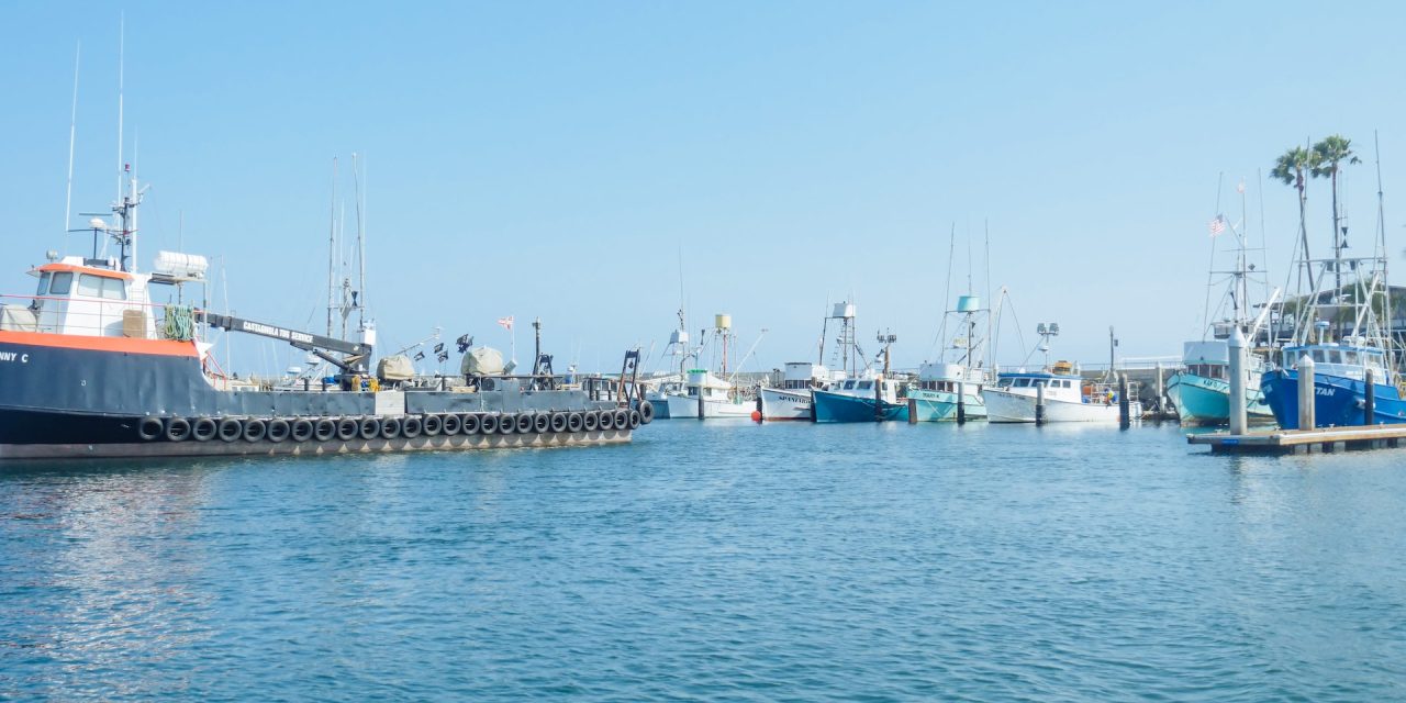 https://www.tetraconsultants.com/wp-content/uploads/2023/10/pexels-kindel-media-8849998-1280x640.jpg