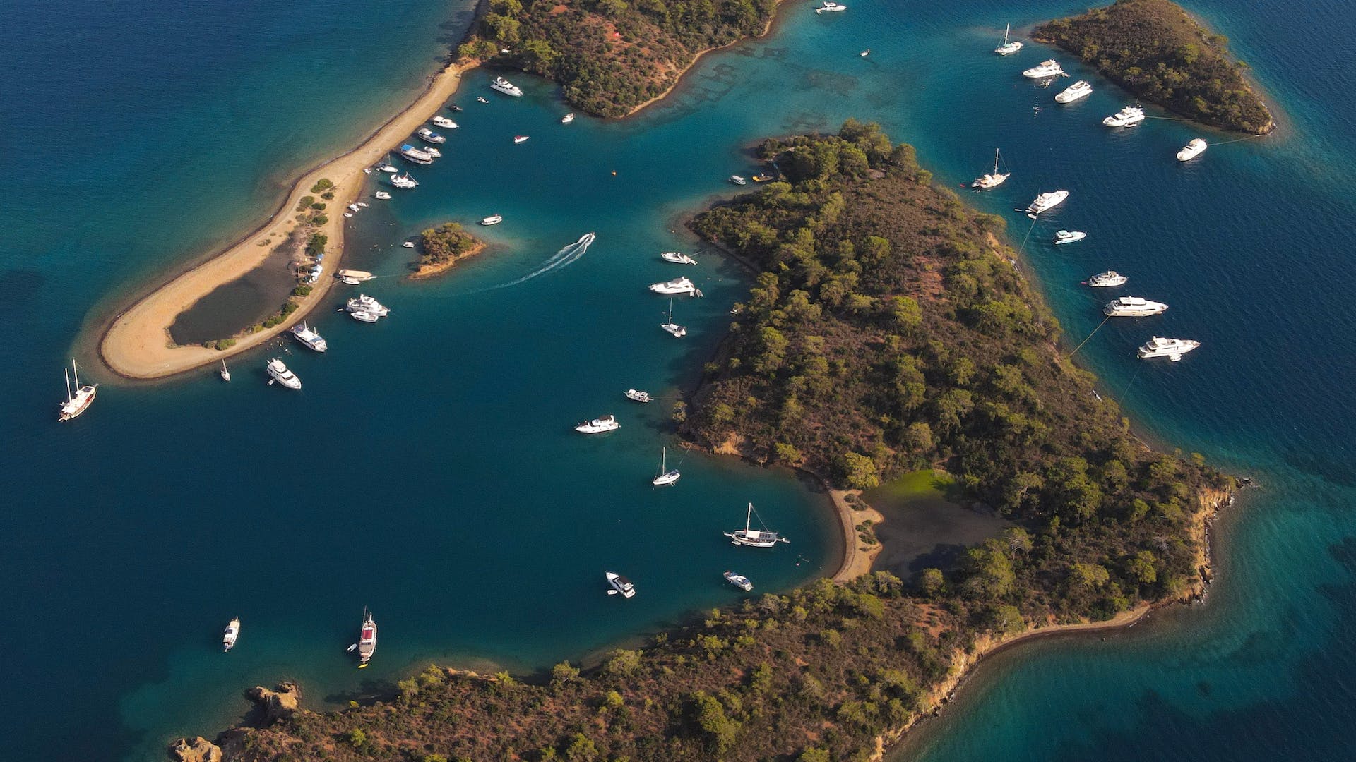 Best business opportunities in Cayman Islands in 2024